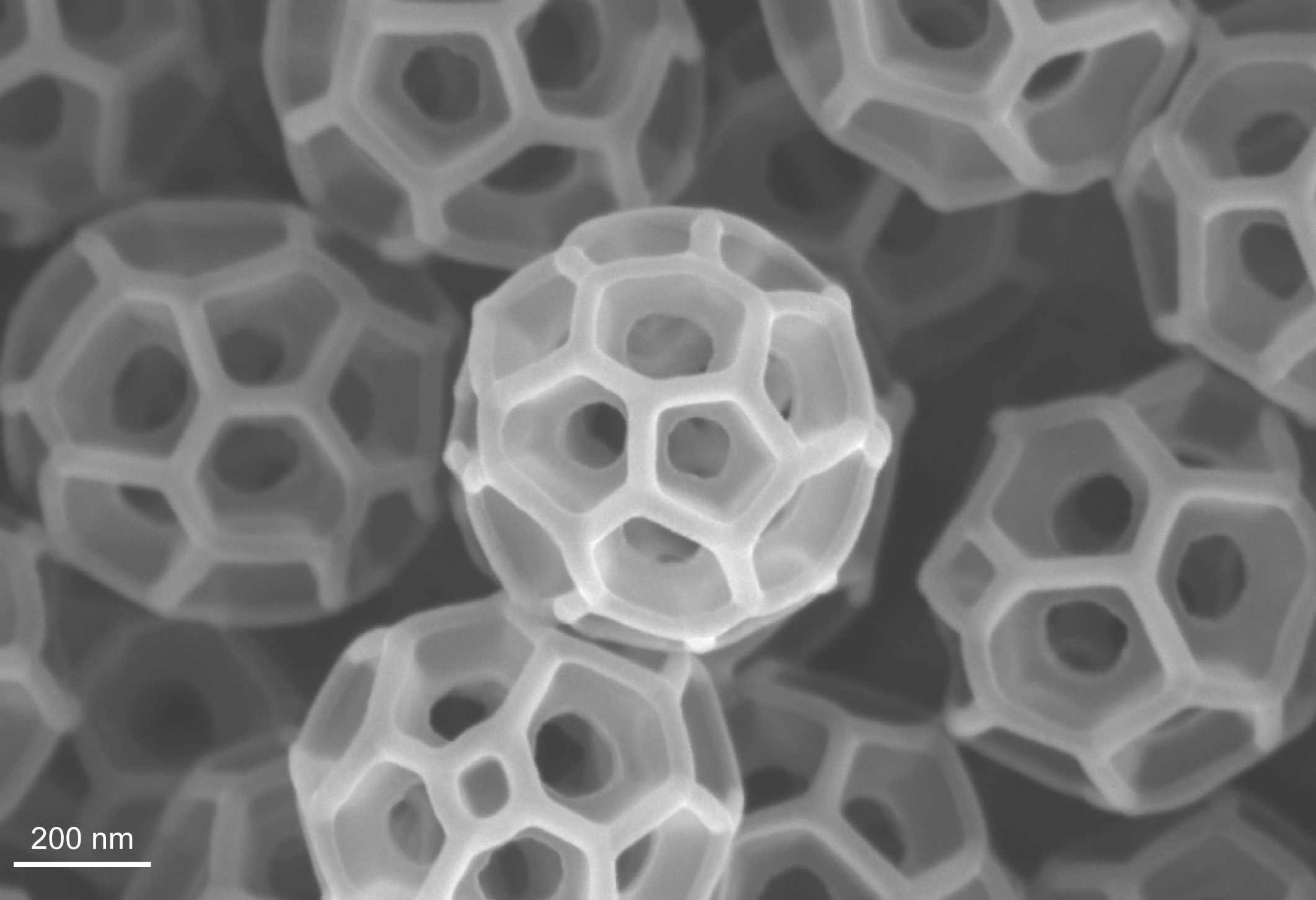Brochosome-inspired antireflective materials